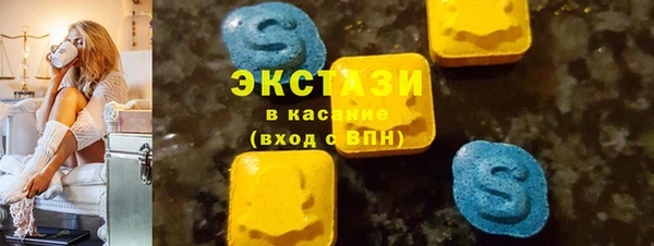 ECSTASY Бородино